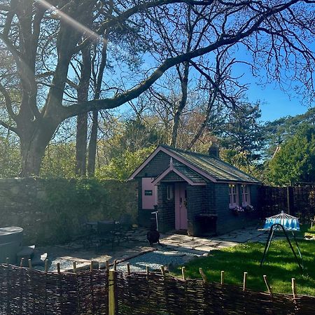 Tiny Romantic Retreat With Hot Tub On A Country Estate Near Cardigan Bay In Eryri Snowdonia คลันเบดเดอ ภายนอก รูปภาพ