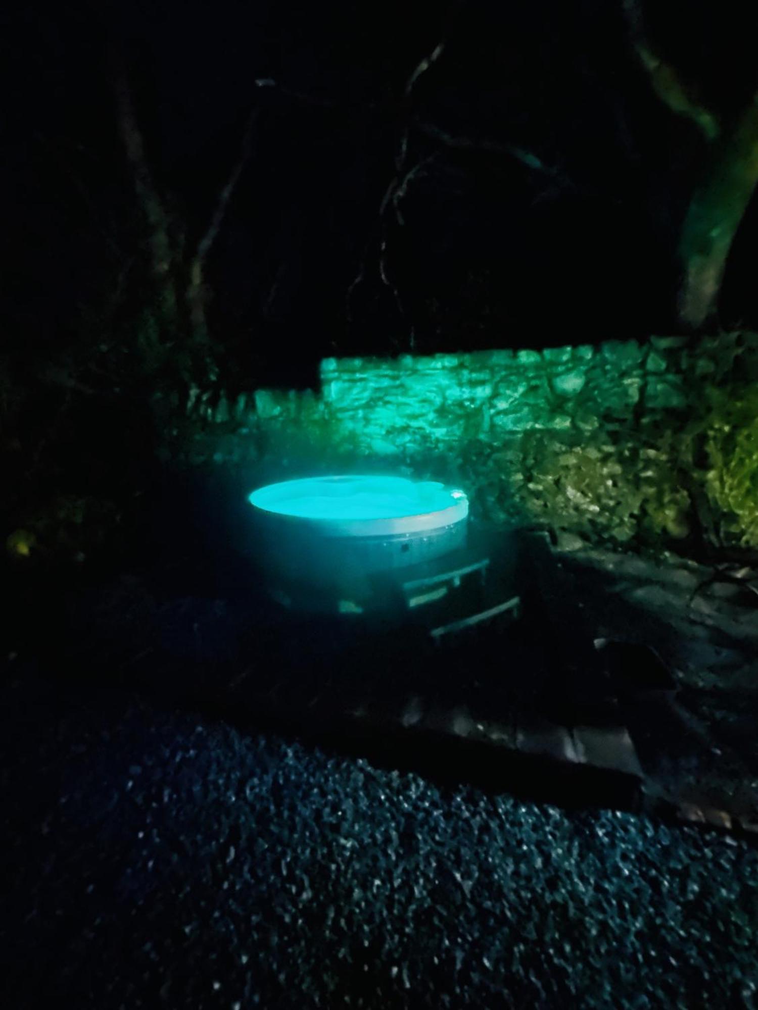 Tiny Romantic Retreat With Hot Tub On A Country Estate Near Cardigan Bay In Eryri Snowdonia คลันเบดเดอ ภายนอก รูปภาพ