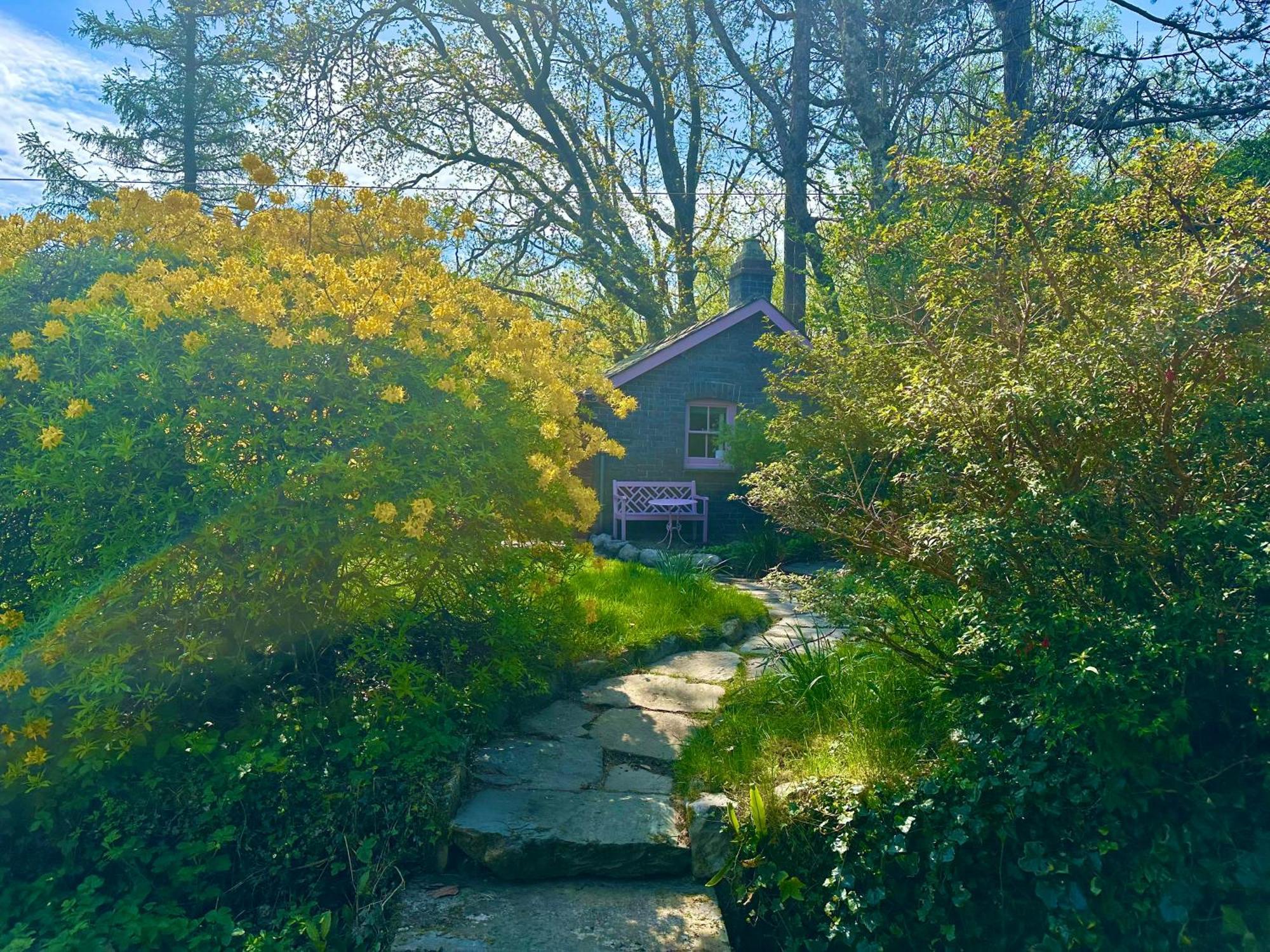 Tiny Romantic Retreat With Hot Tub On A Country Estate Near Cardigan Bay In Eryri Snowdonia คลันเบดเดอ ภายนอก รูปภาพ